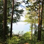 Die schönsten Seenblicke im Naturpark Stechlin Ruppiner Land